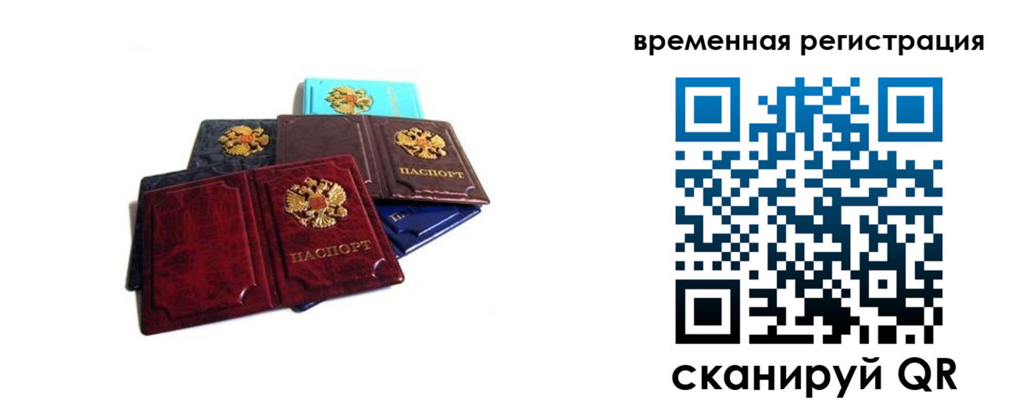 прописка гарантия в Котельниче